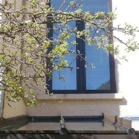 Bed & Breakfast D'hotes Les Capucins 3*